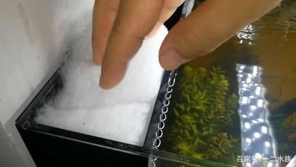 哪個牌子魚缸過濾好，魚缸過濾器品牌品牌性價比排行