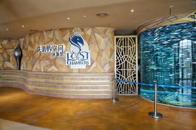 水族館店鋪名字大全集（水族館店鋪名字如何選擇） 水族館店鋪名字大全集（水族館店鋪名字如何選擇） 水族館百科（水族館加盟） 第5張