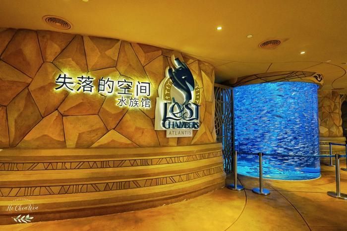 水族館店鋪名字大全集（水族館店鋪名字如何選擇） 水族館店鋪名字大全集（水族館店鋪名字如何選擇） 水族館百科（水族館加盟） 第6張
