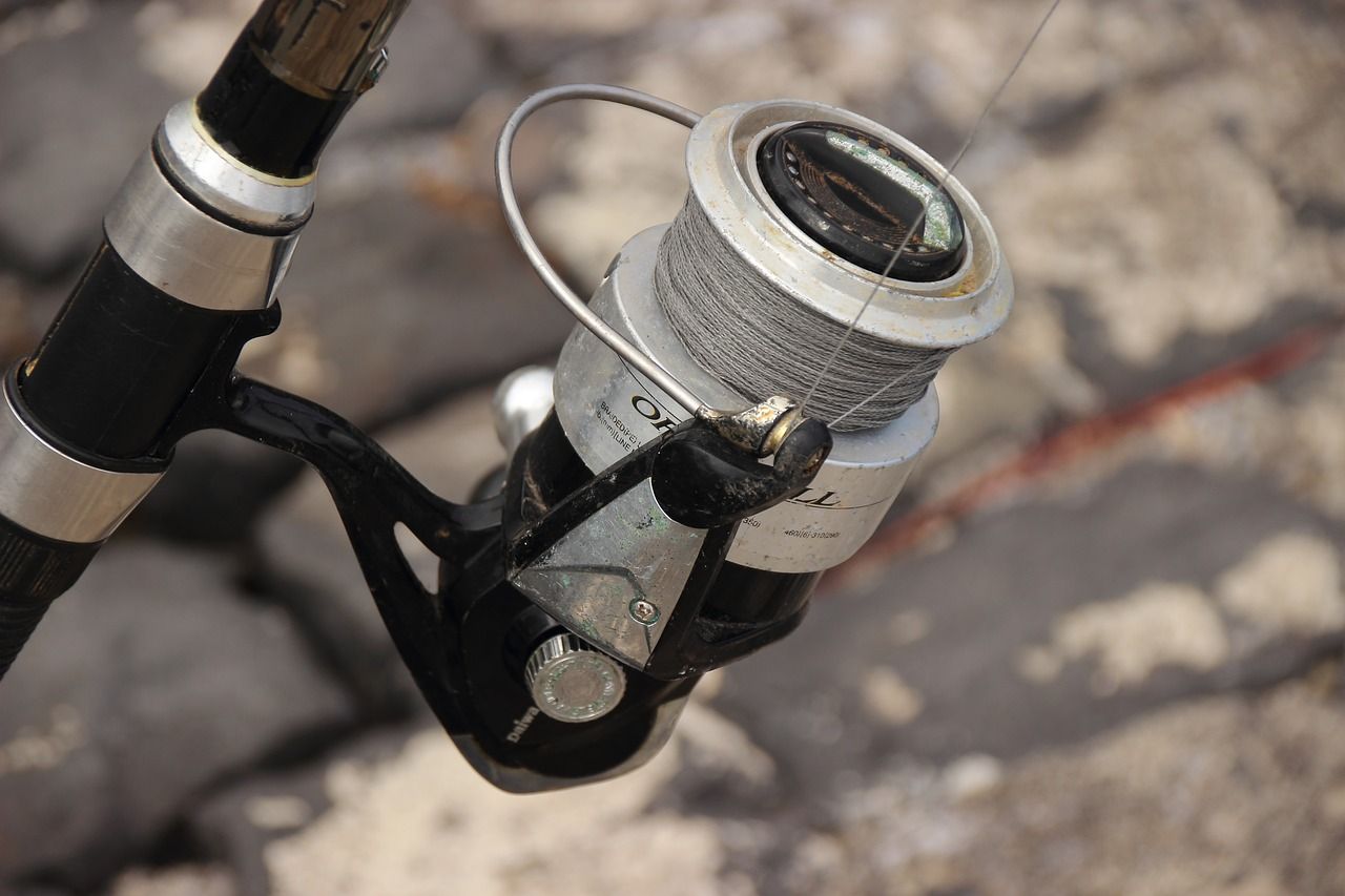 錦州魚缸廠家電話號(hào)碼多少號(hào)，錦州魚缸廠家電話號(hào)碼多少及錦州魚缸廠家電話號(hào)碼多少號(hào)摘要