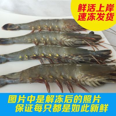速凍黑虎蝦：速凍黑虎蝦怎么做？