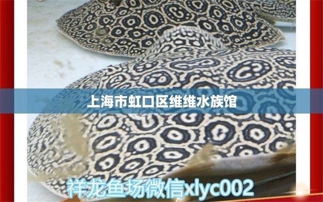 祥龍水族館科普講座主題介紹：水族館親子活動安排,水生動物飼養技巧介紹