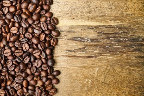 元寶鳳凰魚吃什么好養活一點：元寶鳳凰魚的飼養方法和飲食習慣