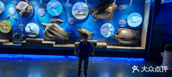 水族館開業廣告宣傳語：親子游水族館特色展覽介紹：親子游水族館優惠票價信息