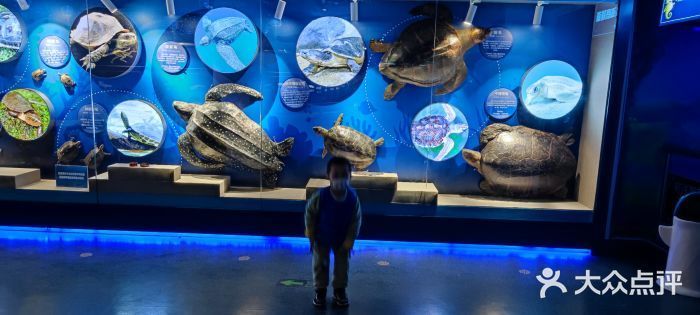 水族館開業廣告宣傳語：親子游水族館特色展覽介紹：親子游水族館優惠票價信息