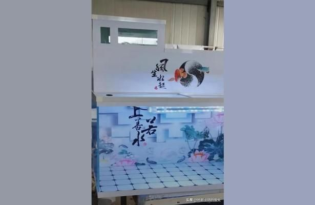 莆田龍魚vs莆田水族批發市場vs莆田水族館vs莆田魚缸批發市場vs祥龍魚場：莆田水族批發市場