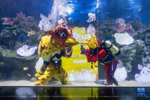 水族館開(kāi)業(yè)活動(dòng)（關(guān)于水族館開(kāi)業(yè)活動(dòng)的一些詳細(xì)信息）