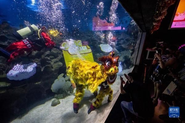 水族館開(kāi)業(yè)活動(dòng)（關(guān)于水族館開(kāi)業(yè)活動(dòng)的一些詳細(xì)信息）