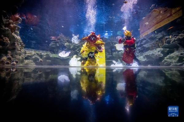 水族館開(kāi)業(yè)活動(dòng)（關(guān)于水族館開(kāi)業(yè)活動(dòng)的一些詳細(xì)信息）