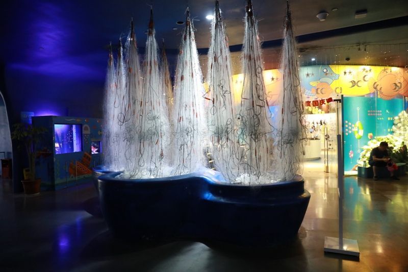 水族館怎么取創意名（如何評估水族館名字的吸引力）