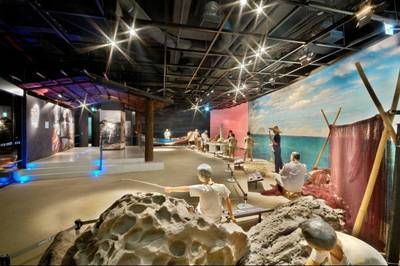 水族館怎么取創意名（如何評估水族館名字的吸引力）
