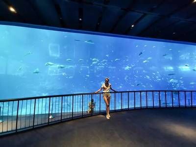 水族館工資高嗎現(xiàn)在（格爾木紅松石水族館的工資水平因地區(qū)、職位和工作經(jīng)驗(yàn)而異） 水族館工資高嗎現(xiàn)在（格爾木紅松石水族館的工資水平因地區(qū)、職位和工作經(jīng)驗(yàn)而異） 水族館百科（水族館加盟） 第5張