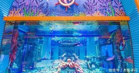 水族館工資高嗎現(xiàn)在（格爾木紅松石水族館的工資水平因地區(qū)、職位和工作經(jīng)驗(yàn)而異） 水族館工資高嗎現(xiàn)在（格爾木紅松石水族館的工資水平因地區(qū)、職位和工作經(jīng)驗(yàn)而異） 水族館百科（水族館加盟） 第6張