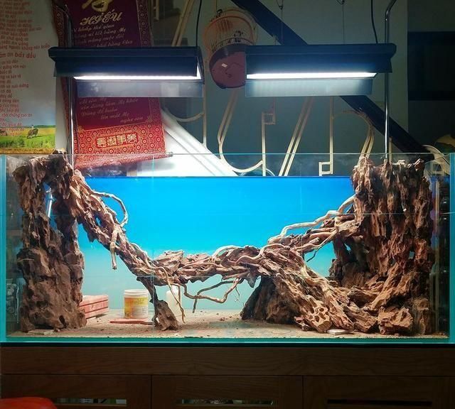 502膠水魚缸造景：502膠水可以用于魚缸造景嗎？