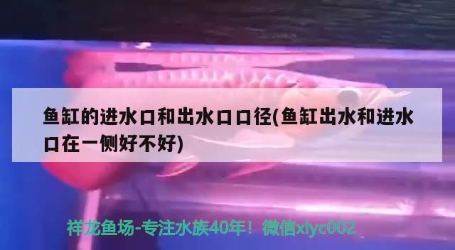 魚缸的進水口和出水口口徑(魚缸出水和進水口在一側好不好)