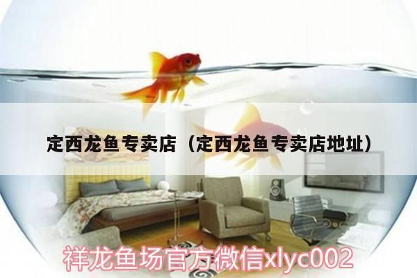 雅安龍魚vs雅安水族批發(fā)市場vs雅安水族館vs雅安魚缸批發(fā)市場vs祥龍魚場：雅安水族批發(fā)市場 雅安龍魚vs雅安水族批發(fā)市場vs雅安水族館vs雅安魚缸批發(fā)市場vs祥龍魚場：雅安水族批發(fā)市場 祥龍魚場各市分站 第5張
