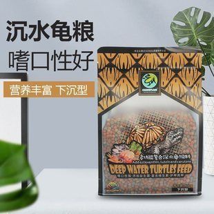 豬鼻龜擺件：豬鼻子龜?shù)娘L(fēng)水布局方式有講究豬鼻子龜風(fēng)水布局方式