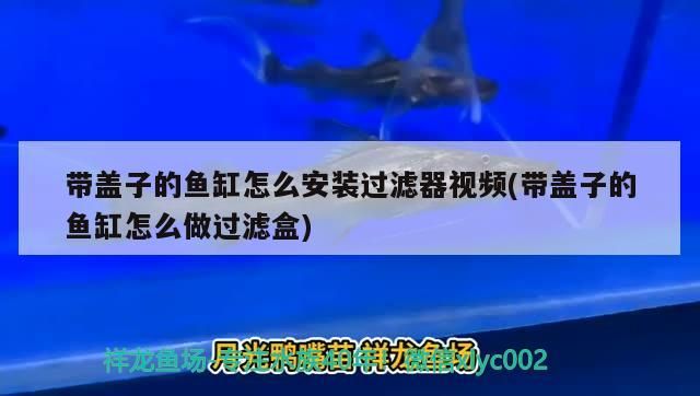 帶蓋子的魚缸怎么安裝過濾器視頻(帶蓋子的魚缸怎么做過濾盒)