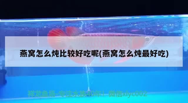 金龍魚會變色嗎怎么回事(為什么金魚魚會變色)