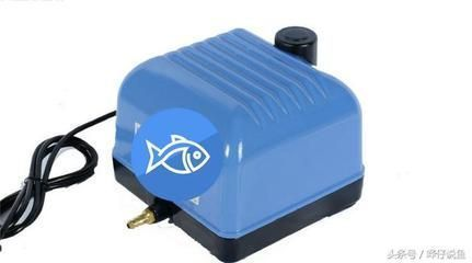 魚缸增氧泵一天開多長時間視頻講解，魚缸增氧泵一天開多長時間