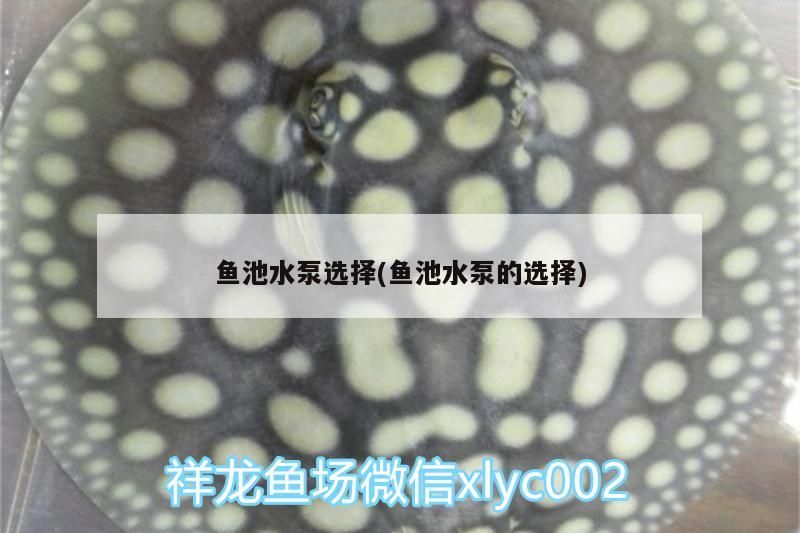 魚池水泵選擇(魚池水泵的選擇)