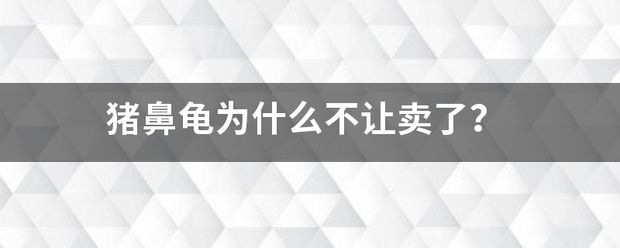 豬鼻龜為什么不賣了：豬鼻龜為什么不讓賣