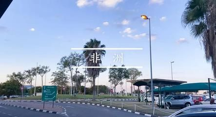 虎魚喂什么膚色好看：虎魚喂什么膚色好看虎魚喂什么膚色好看