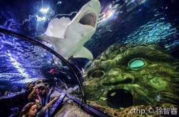 水族館價格表大全（水族館價格表）