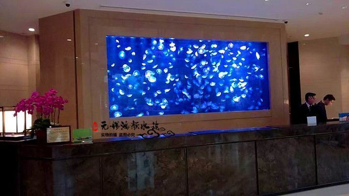 嘉興龍魚vs嘉興水族批發(fā)市場vs嘉興水族館vs嘉興魚缸批發(fā)市場vs祥龍魚場：嘉興水族批發(fā)市場、嘉興魚缸批發(fā)市場、祥龍魚場魚類品種介紹