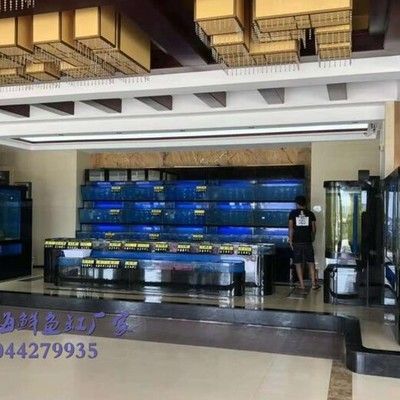 水族館魚缸制作方法：關于水族館魚缸制作方法的網站推薦