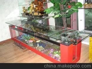 泰州龍魚vs泰州水族批發市場vs泰州水族館vs泰州魚缸批發市場vs祥龍魚場：泰州水族市場