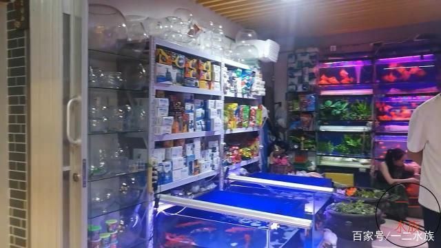水族館開業做什么活動賺錢呢（小金魚養殖個性化服務案例水族館特色海鮮產品介紹）