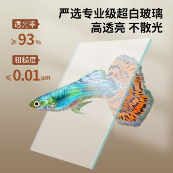 森森魚缸60公分寬有哪幾種，60公分魚缸造景搭配技巧