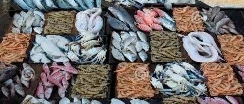威海龍魚vs威海水族批發市場vs威海水族館vs威海魚缸批發市場vs祥龍魚場：威海市區內幾個知名的魚缸批發市場