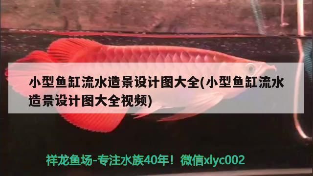 小型魚缸流水造景設計圖大全(小型魚缸流水造景設計圖大全視頻)