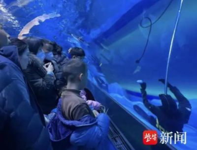 水族館工作人員叫什么（水族館員工的工作內容）