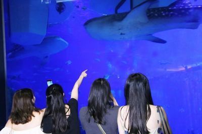 水族館工作人員叫什么（水族館員工的工作內容）