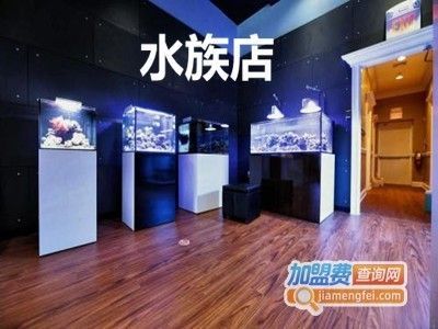 水族館加盟店怎么樣賺錢嗎多少錢?。ㄩ_一家水族館加盟店需要投資42.73萬元以上水族館營銷策略）