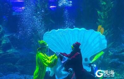魟魚喜歡燈光嗎：養魟魚喜歡燈光嗎？