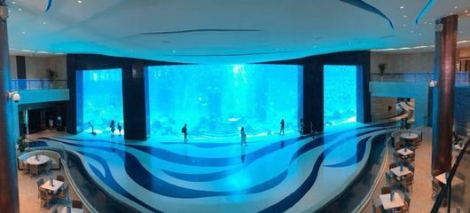 水族館需要投資多少錢呢現在:開個中小型水族館的初始投資在幾十萬元到數百萬元 水族館百科(水族館加盟) 第4張 水族館需要投資多少錢呢現在:開個中小型水族館的初始投資在幾十萬元到數百萬元 水族館需要投資多少錢呢現在:開個中小型水族館的初始投資在幾十萬元到數百萬元 水族館百科(水族館加盟) 第4張