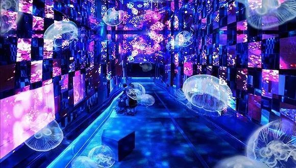 水族館能賺錢(qián)嗎知乎：水族館會(huì)員制度設(shè)計(jì)要點(diǎn),