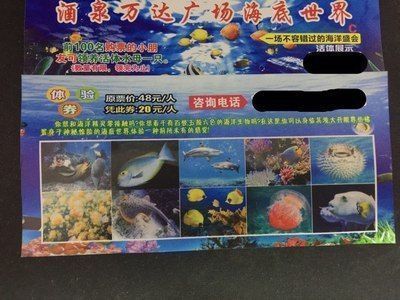 定西龍魚vs定西水族批發市場vs定西水族館vs定西魚缸批發市場vs祥龍魚場