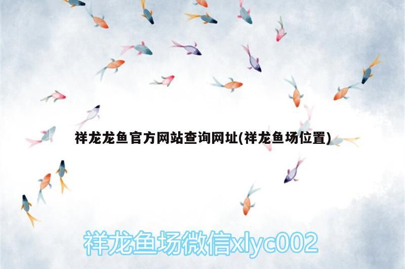 祥龍龍魚官方網站查詢網址(祥龍魚場位置) 祥龍龍魚官方網站查詢網址(祥龍魚場位置) vs祥龍魚場
