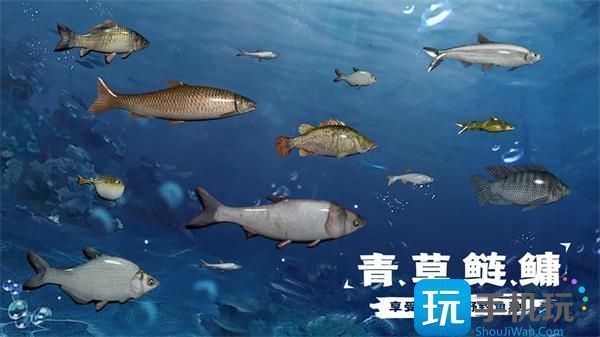 彩蝶魚缸為啥那么貴，彩蝶魚缸價格昂貴原因分析彩蝶魚缸安全性設(shè)計詳解