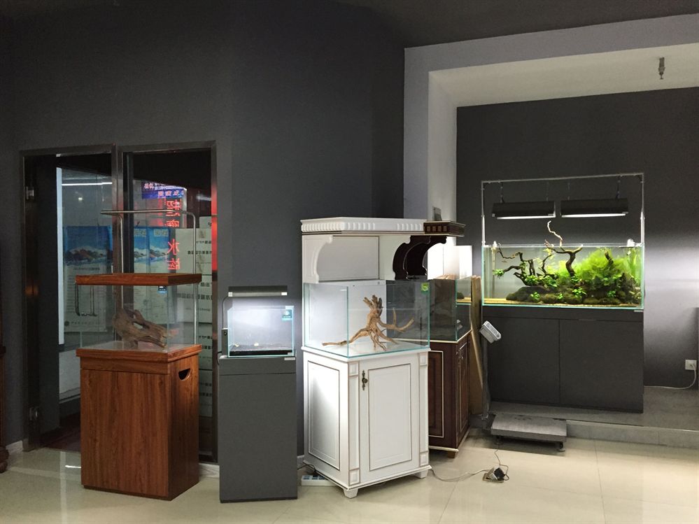 祥龍水族館加盟條件詳解：祥龍水族館加盟條件