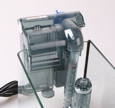 蘭州龍魚vs蘭州水族批發市場vs蘭州水族館vs蘭州魚缸批發市場vs祥龍魚場：蘭州水族批發市場