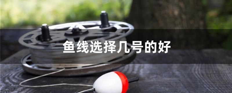 滁州龍魚(yú)vs滁州水族批發(fā)市場(chǎng)vs滁州水族館vs滁州魚(yú)缸批發(fā)市場(chǎng)vs祥龍魚(yú)場(chǎng)：滁州地區(qū)與水族相關(guān)行業(yè)的競(jìng)爭(zhēng)格局