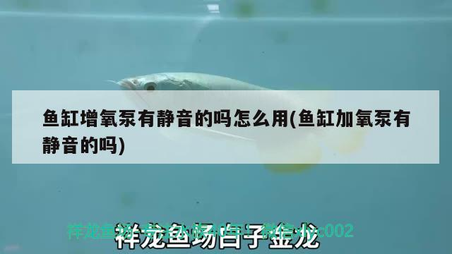魚(yú)缸增氧泵有靜音的嗎怎么用(魚(yú)缸加氧泵有靜音的嗎)