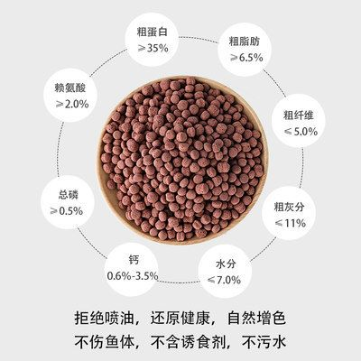 龍魚飼料魚怎么選擇，如何選擇龍魚飼料魚