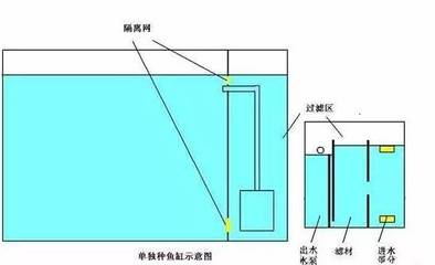 錦鯉池的春季管理方法及注意事項淺談 錦鯉魚百科 第3張 錦鯉池的春季管理方法及注意事項淺談 錦鯉池的春季管理方法及注意事項淺談 錦鯉魚百科 第3張
